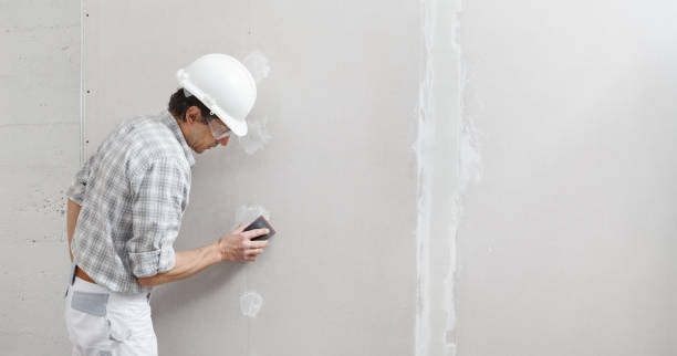 Best Airborne Mold Testing  in Au Sable, MI