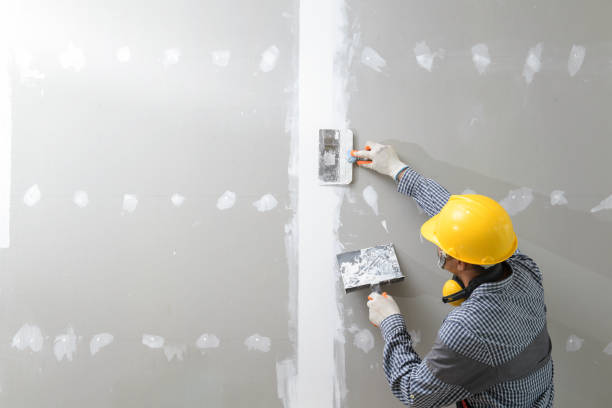 Best Industrial Mold Remediation  in Au Sable, MI
