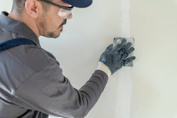 Best Mold Remediation for Healthcare Facilities  in Au Sable, MI