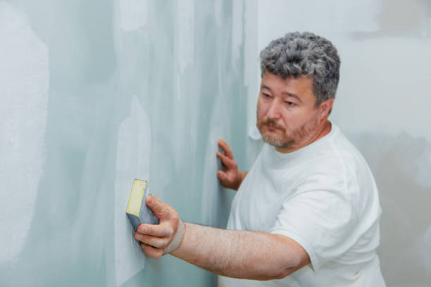 Best Basement Mold Removal  in Au Sable, MI