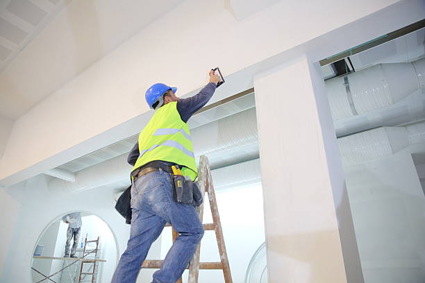 Best Attic Mold Removal  in Au Sable, MI