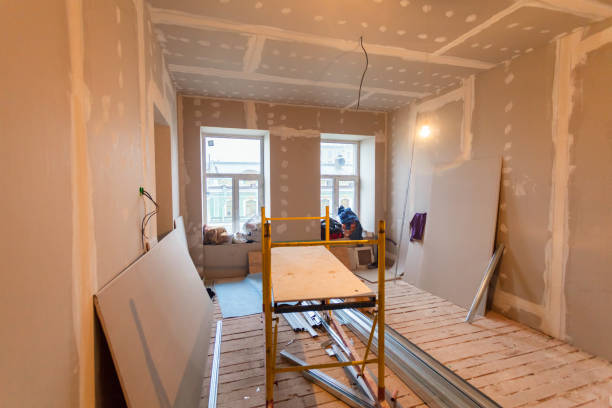Mold Documentation for Insurance Claims in Au Sable, MI