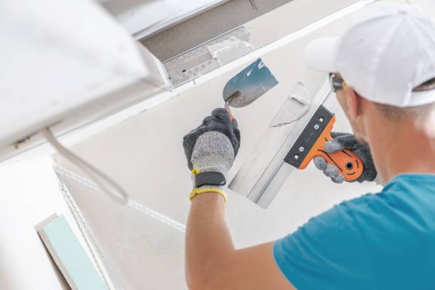 Best Crawl Space Mold Remediation  in Au Sable, MI